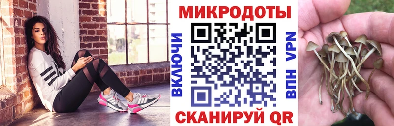 Псилоцибиновые грибы Cubensis  Усть-Катав 