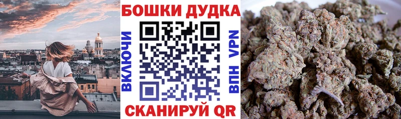 Бошки Шишки сатива  купить наркотик  MEGA онион  Усть-Катав 